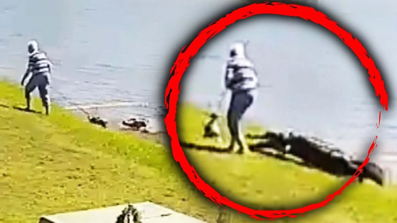 Alligator Attacks And Kills 85 Years Woman in Florida - YouTube