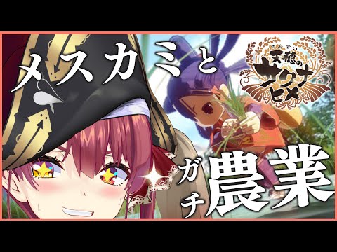 【天穂のサクナヒメ】生意気メス神と米作り【ホロライブ/宝鐘マリン】