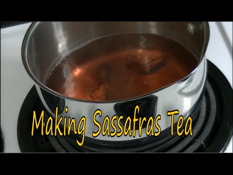 चहा बनवण्यासाठी खाण्यायोग्य ससाफ्रास रूट काढणे