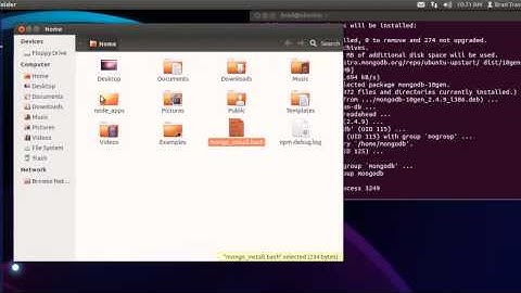 Install MongoDB in Ubuntu