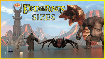 BIGGEST Lord of the Rings Characters ⚔️ | Middle-Earth Size Comparison 3D
