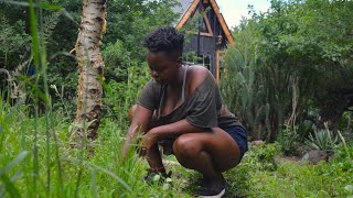We live in DEADLY SNAKE ZONE | This is how we protect ourselves