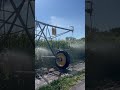 It takes water to make corn!