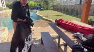 Umbrella Parasol Cover Review & Unboxing    4K