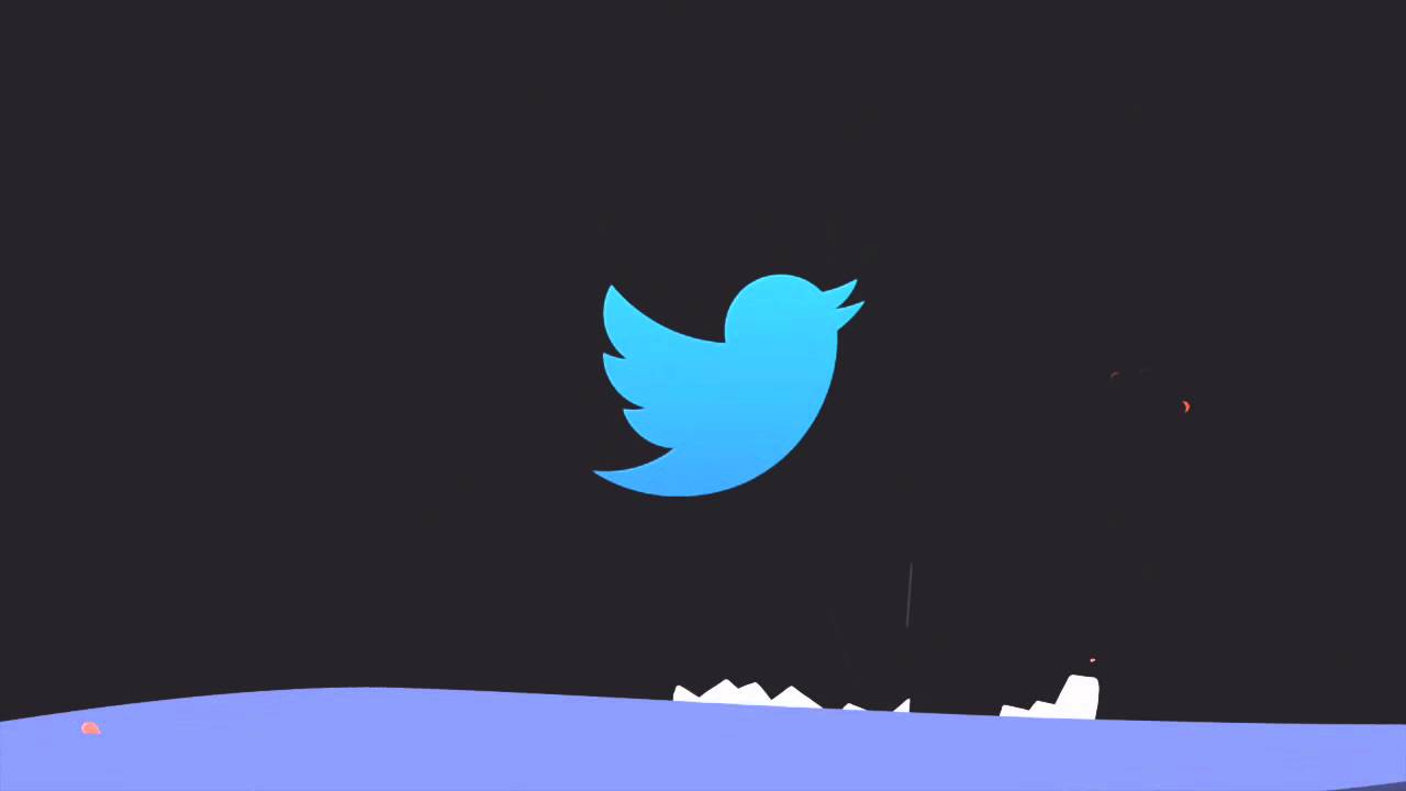 Twitter animations. Твиттер анимация. Twitter logo animation. Twitter animation.