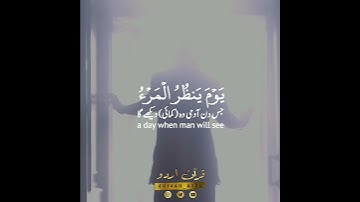 🕯️يوم ينظر المرء ما قدمت يداه🍂 سورة النبأ:٤٠|سليم باهنان|Surah An Naba:40|Salim Bahanan