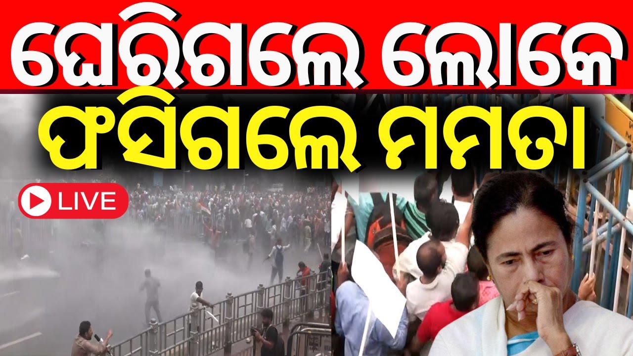 LIVE| ମାଡ଼ି ଆସିଲେ ଫସିଗଲେ ମମତା | Nabanna Abhijan LIVE |নবান্ন অভিযান সরাসরি| Kolkata Doctor Case