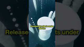 These Frozen Bubbles Can Actually EXPLODE #shorts