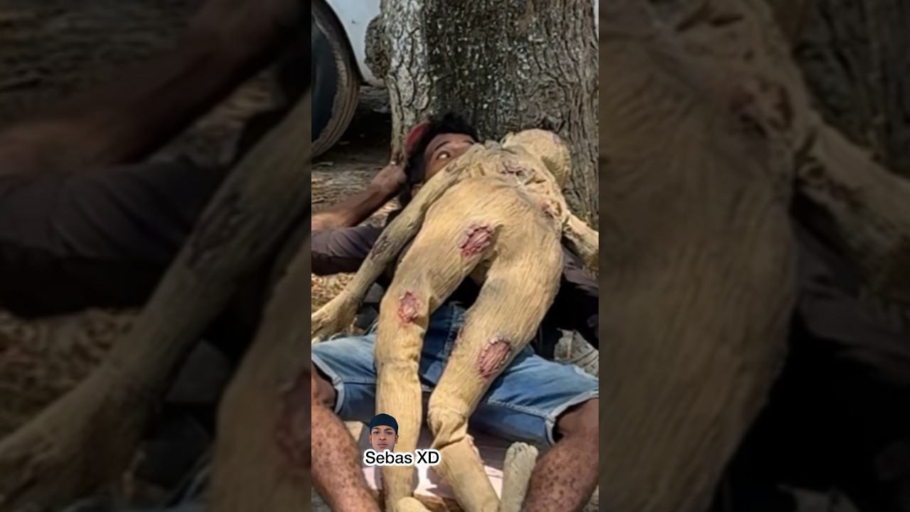 El 🧟&zwj;♂️ dormil&oacute;n 😴 #viral #humor #trending #tendencias