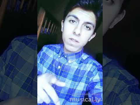 احنا الاسود في وسط الغابه
