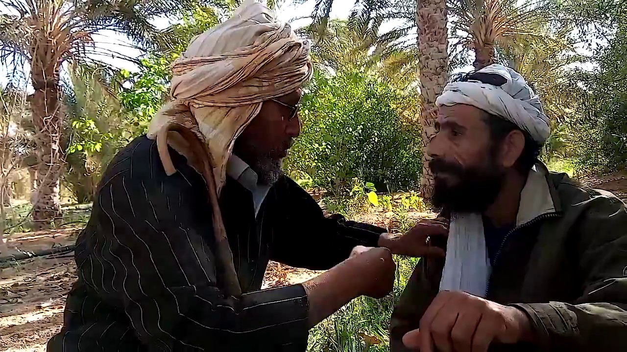 جعيو والبرطابل