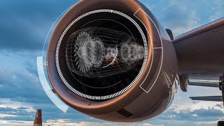 Moving Beyond the Early Adopters: Extended Reality Accelerates