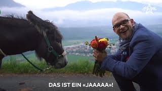 Zwei Esel im Aargau - Trailer