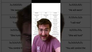 I Made A Dolphin Language, Its Called Aeia