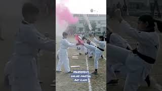 Online Martial Art classes.