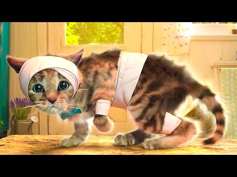 ПРИКЛЮЧЕНИЕ МАЛЕНЬКОГО КОТЕНКА №1. У котика перелом. ИГРА про говорящих котят на канале Хвостик ТВ