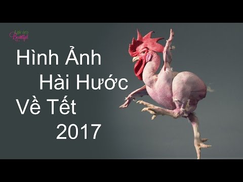 Những Hình Ảnh Siêu Hài Hước Về Tết 2017