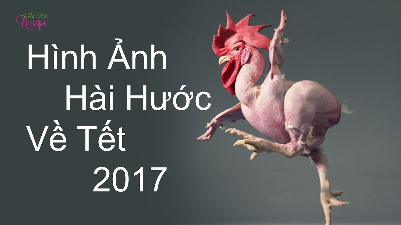 Những Hình Ảnh Siêu Hài Hước Về Tết 2017 - YouTube