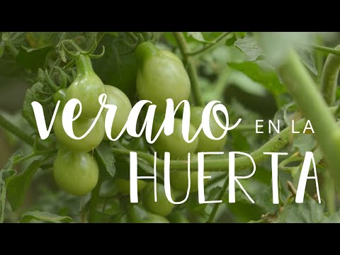 La HUERTA en