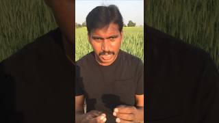 Tamam Jahana Lai Rihmat