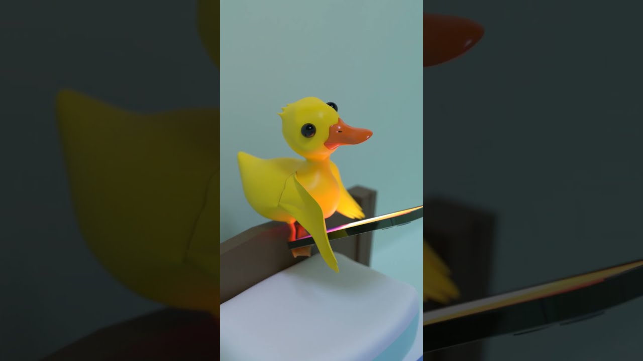 When You Left Your Door Open Shorts Funny Duck