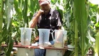 360 Yield Minute - Stem Water After Rain - Jamie Brand