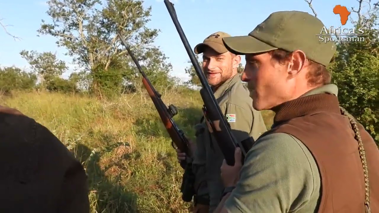 Buffalo Death Bellow