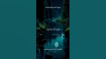 تلاوة من سورة النحل | تلاوة خيالية | القارئ عبد الرحمن مسعد 🎧🤍