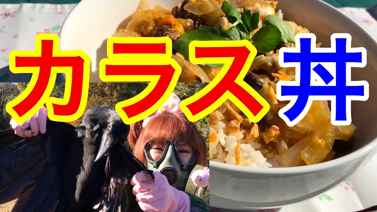 サバイバル女子 カラス料理 友達丼 Eat Raven Youtube サバイバル女子 カラス料理 友達丼 Eat Raven Youtube