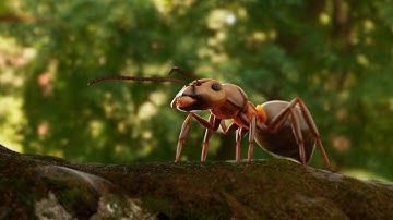 Realistic Ant 3D Model