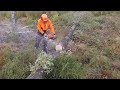 Stihl hexa test ms 500i