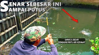 Makin Sadis Penghuninya!! Mancing di sarang ikan nila babon Pintu Air Keramat