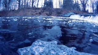 walleye spawning underwater video.