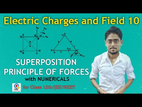 Physics XII : Electric Charges And Fields 10 | Superposition Principle ...