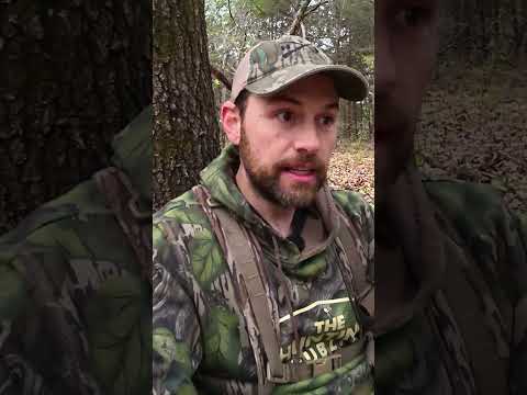 Mississippi Turkey Stamp Update thumbnail