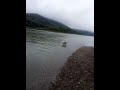 Утро на охоте. Турочакский район, Республика Алтай.
