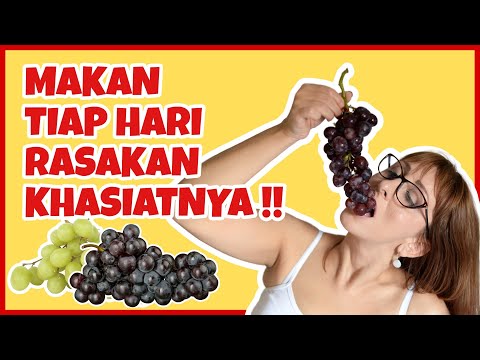 Video: Adakah anggur tidak baik untuk anda?