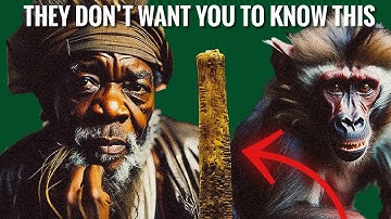 The Oldest Mathematical Object Ever Found