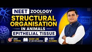 Animal Tissue | NEET 2027 Preparation | Part-2