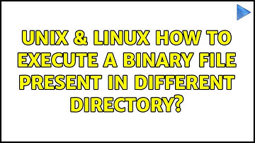 Unix & Linux: How to execute a binary file present in different directory?