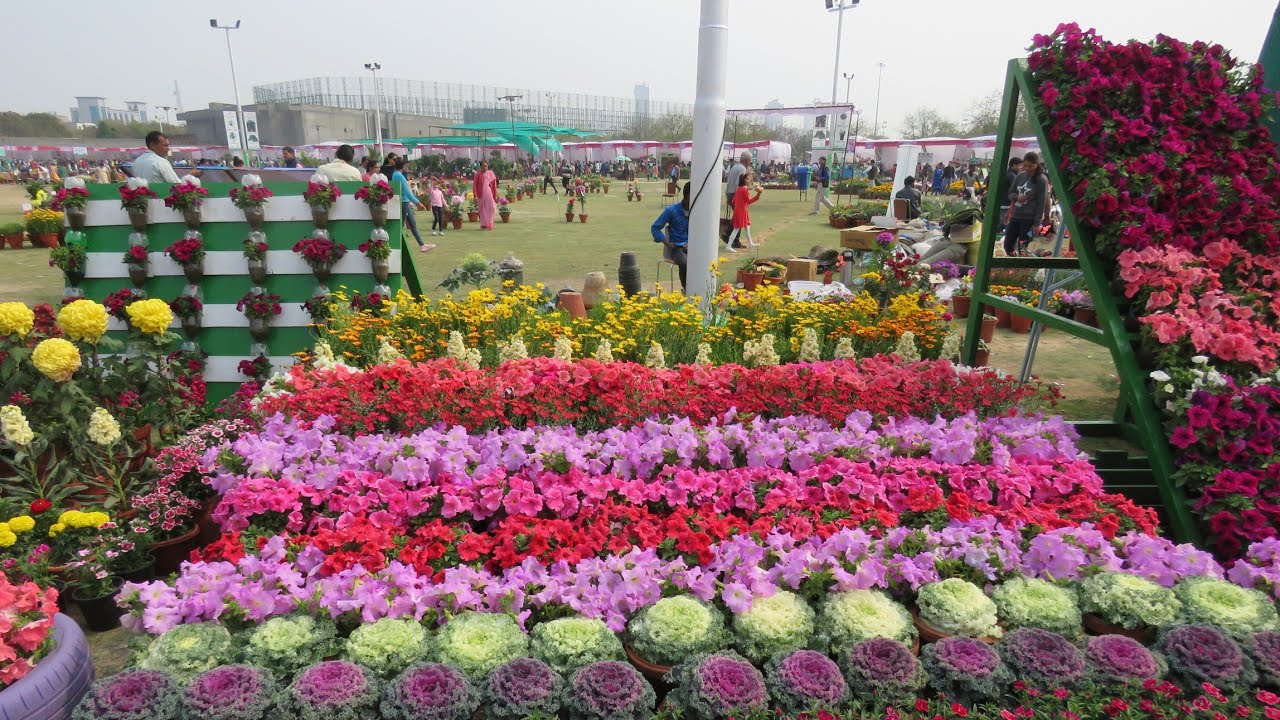 Gardening Event 2020 Noida biggest flowers show and many More.