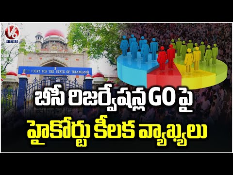 Telangana High Court Key Statements On 42% BC Reservations  | V6 News - V6NEWSTELUGU