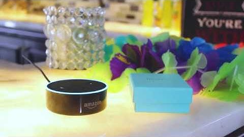 Cruise Planners - Alexa Skills for Consumers