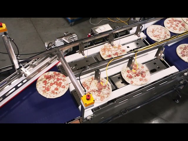 Smart Conveyance - Intelligent Motion