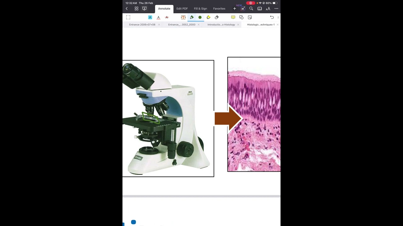 General histology lec 2 (lumina batch 🦷)