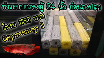 ทำระบบกรองตู้ 84 นิ้ว ก่อนลงปลา .. ในงบ 1150 บาท .. ใส่แค่นี้ก่อน วัสดุกรองแพง พะยะค่ะ !!!!!