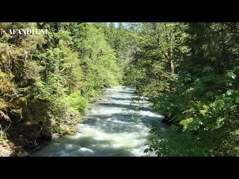 MUSIK LOFI NUANSA ALAM