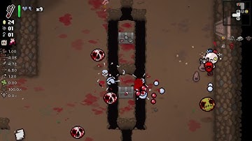 February 26 2025 Binding of Isaac Daily Run