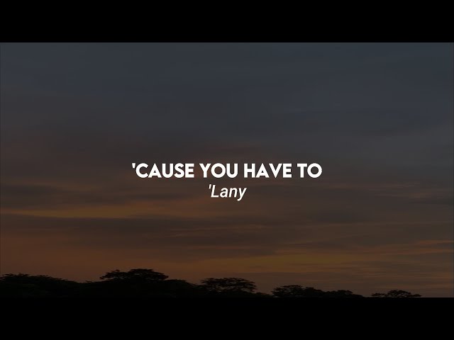 Lany - 'Cause You Have To slowed reverb version class=