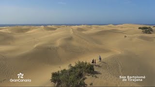 Discover San Bartolomé de Tirajana